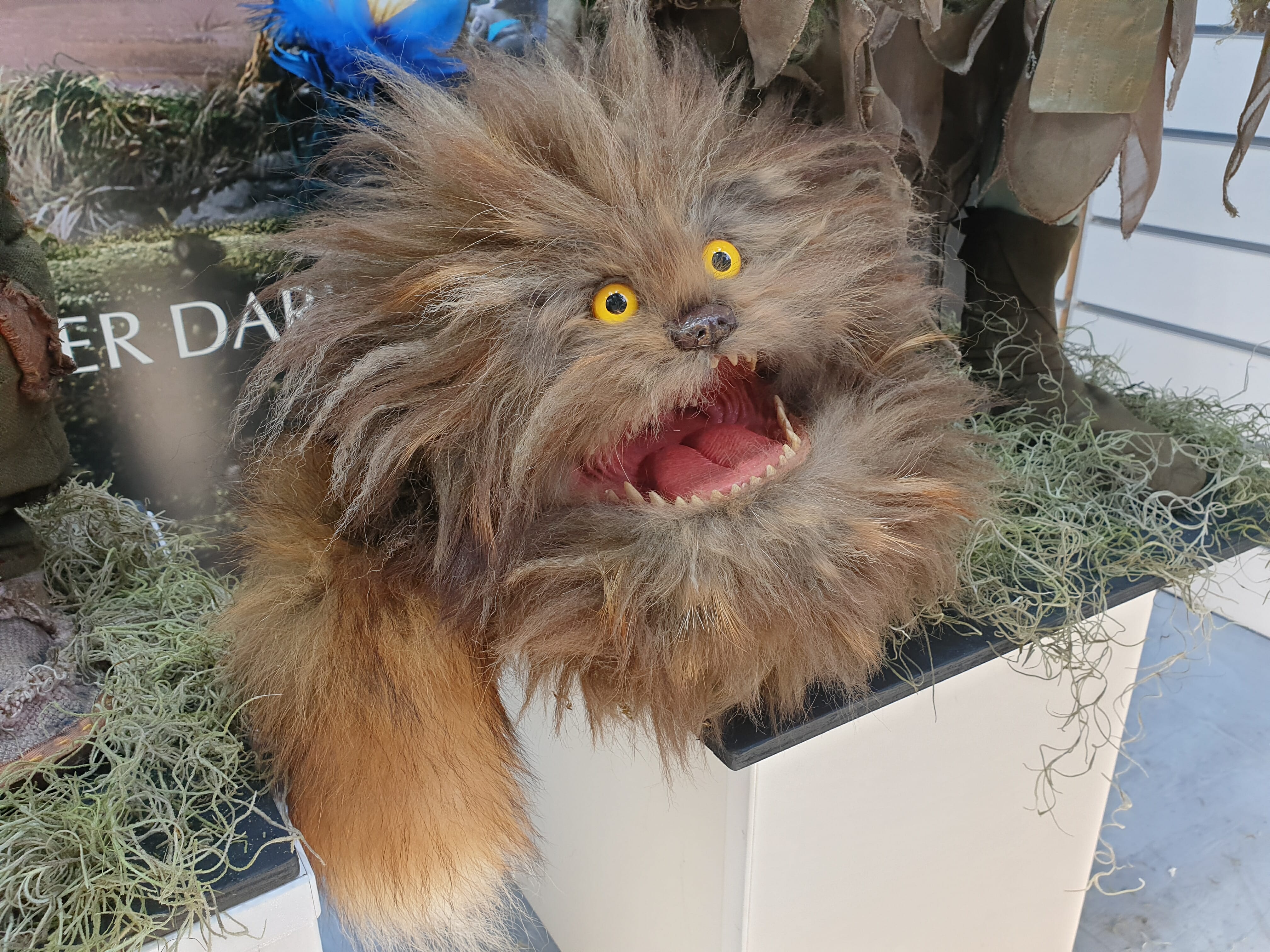 Fizzgig